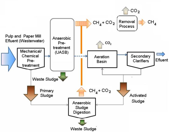 Paper mills essay