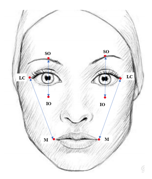 Assessment Of Rehabilitation Potential In Paralysis Of The Facial Nerve 