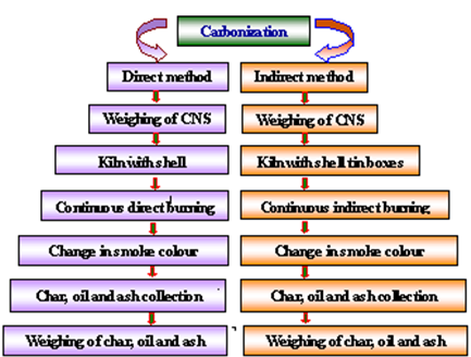 cashew nut processing flow chart