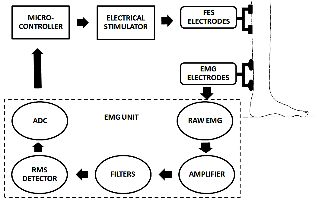 Functional Electrical Stimulation (FES) Explained