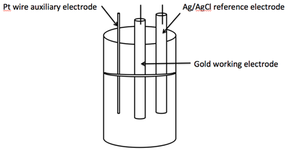 The Cottrell Experiment and Diffusion Limitation 3/3 - Electrochemical Double  Layer - PalmSens