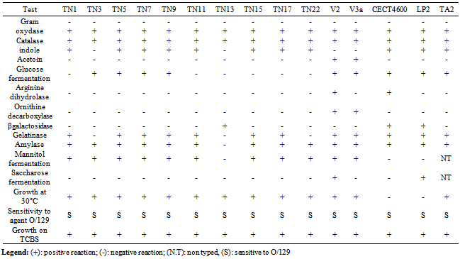 Differentiation Of Enterobacteriaceae By Biochemical Tests Chart