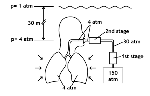 download medien codes menschmaschinen medientheoretische studien zum 19 und 20 jahrhundert